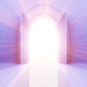 Bilan Lumière pour une vie illuminée